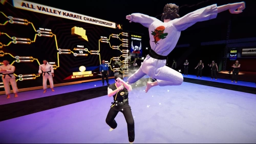 Cobra Kai 2: Dojos Rising [Б.У ИГРЫ NINTENDO SWITCH]