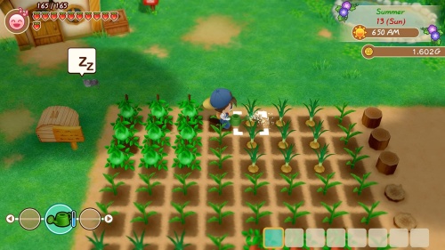 Story of Seasons: Friends of Mineral Town[PLAYSTATION 4]